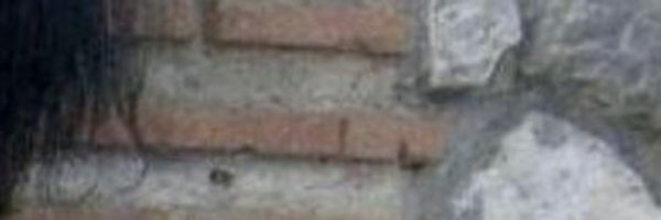 SSAesop's profile banner image