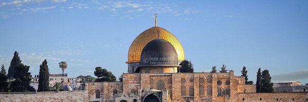 alsh755 Profile Banner