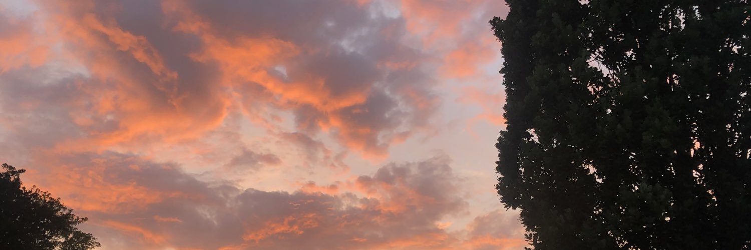 BirgitDeBoeck's profile banner image