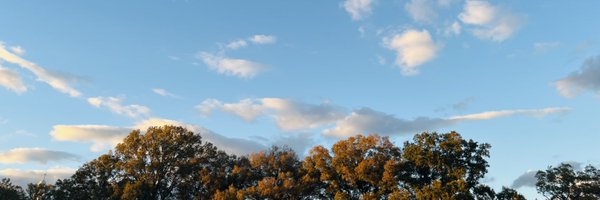 MehediMarof Profile Banner