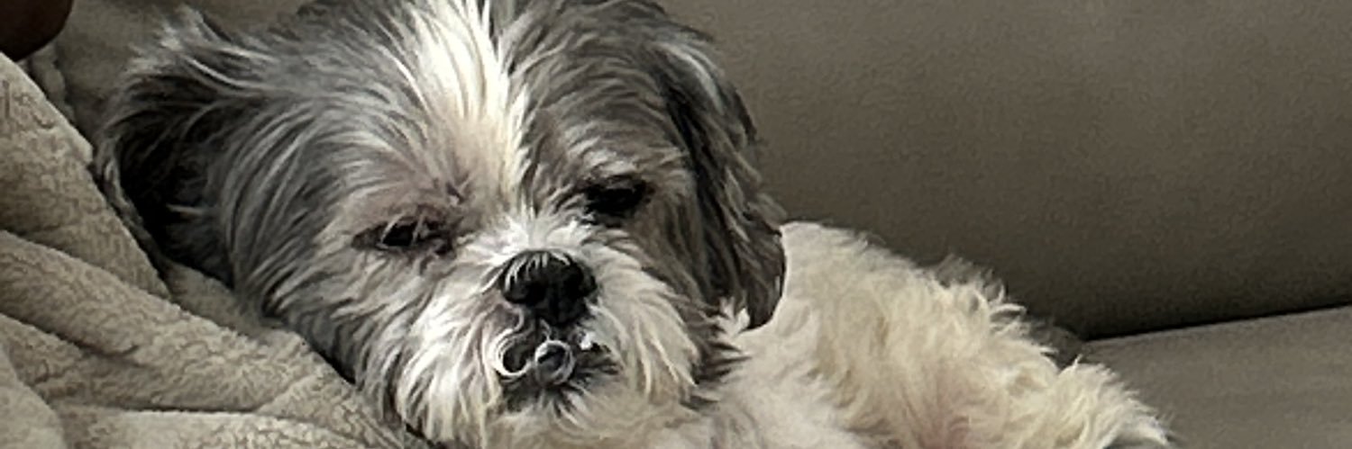 BWMarcWest's profile banner image