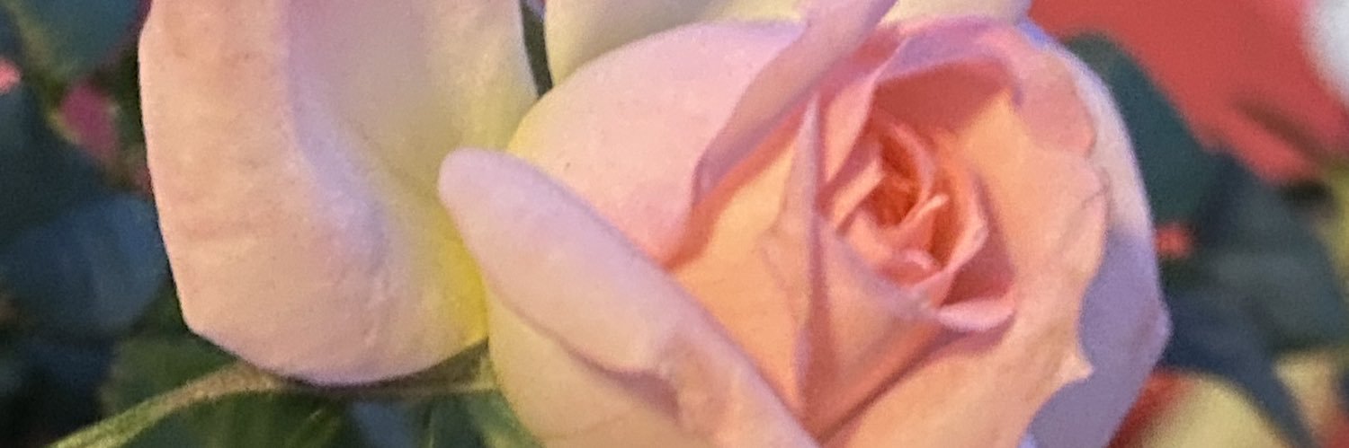 maron040102's profile banner image