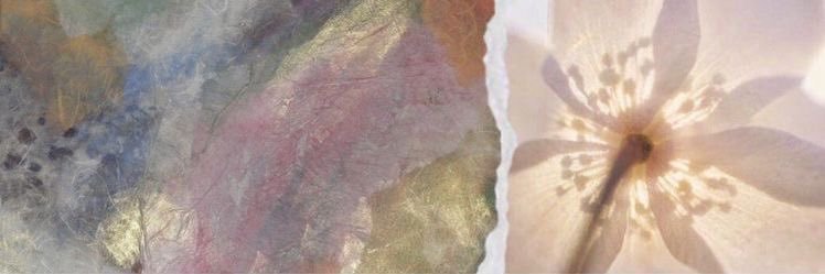 ems 🕸️ on tour ! banner