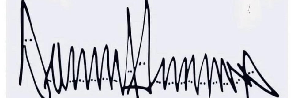 CDMaily1's profile banner image