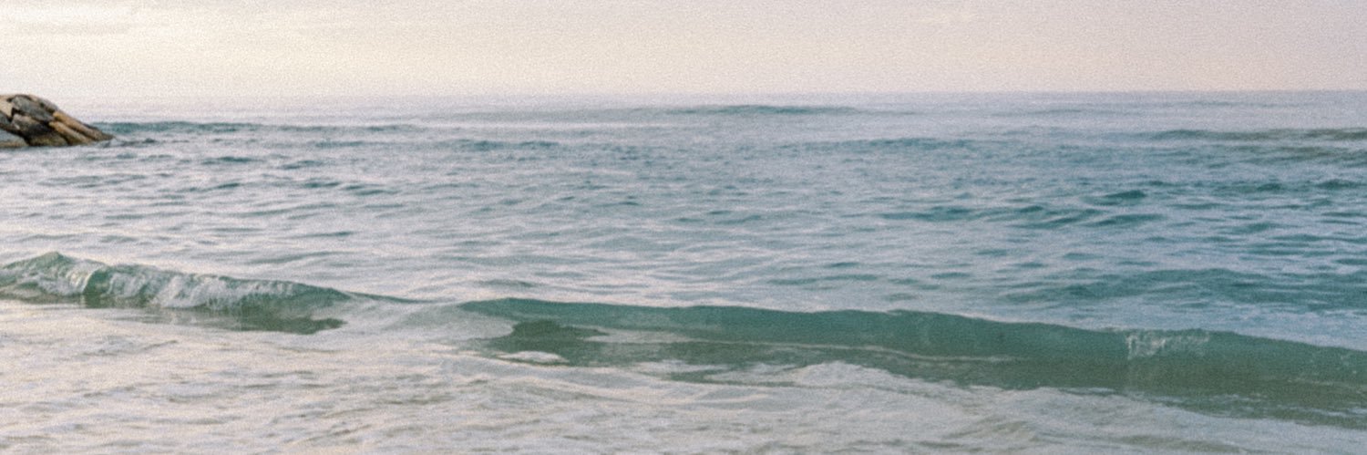 saraasce's profile banner image