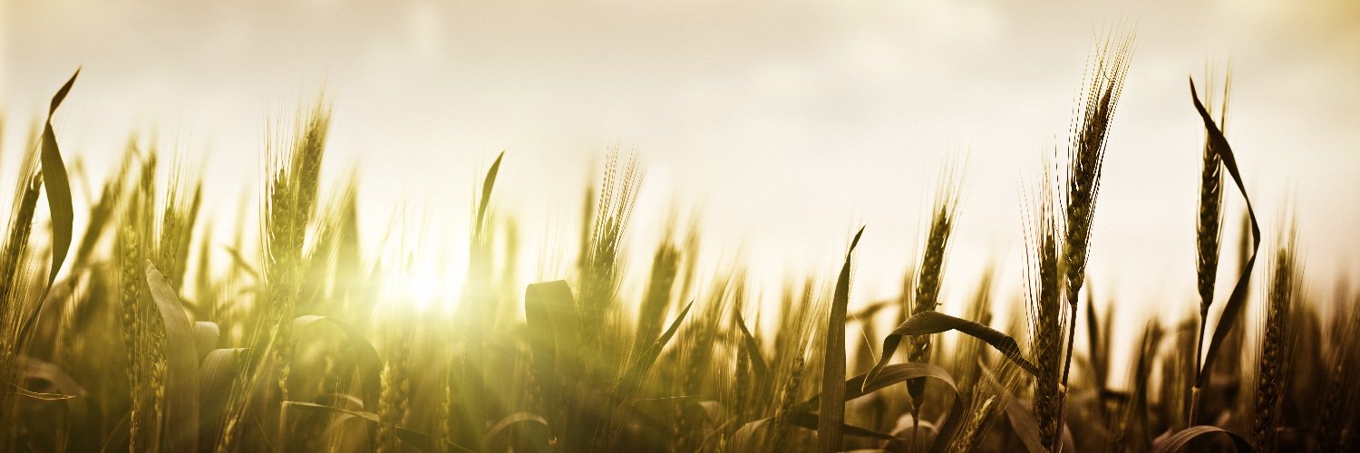 Alberta Seed Guide's banner