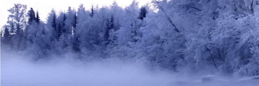 Gillian Gabrielle banner