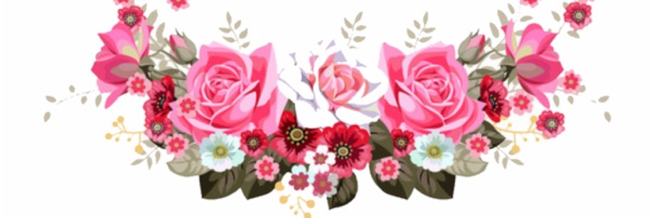 Amanda Seewagen banner