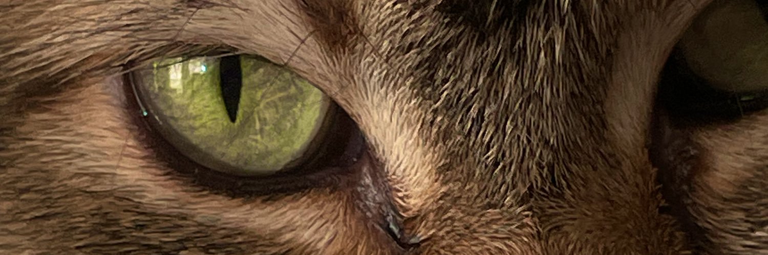 ARTG44NG's profile banner image