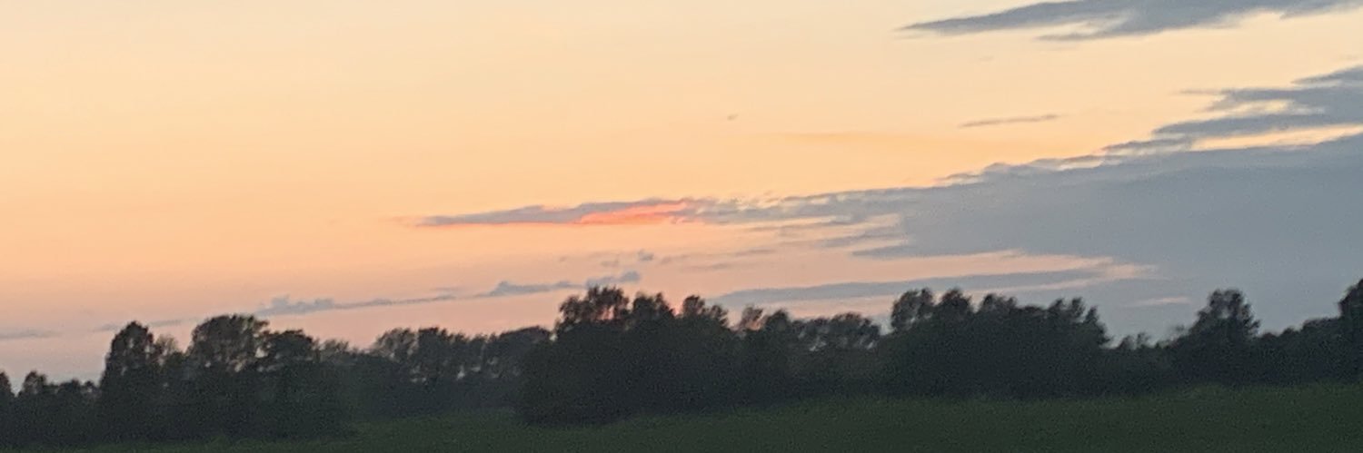 Sage Parsetich banner