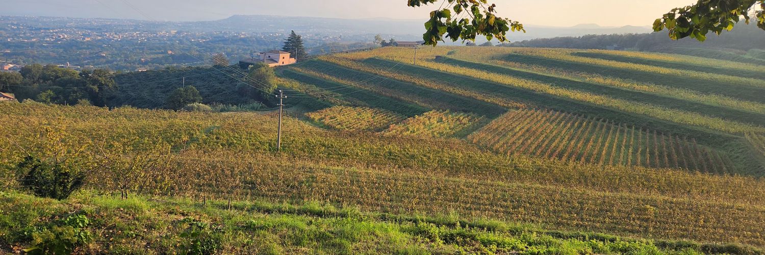 TomCom. No. it's Tw*tter. banner