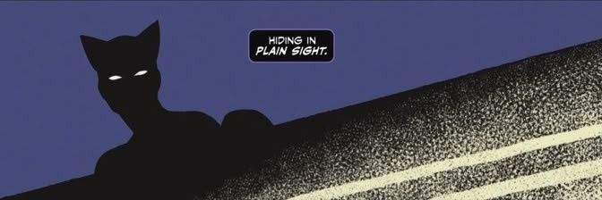 KamiCrislly 🦩 banner