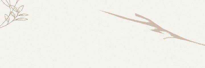 Indrimhrn's profile banner image