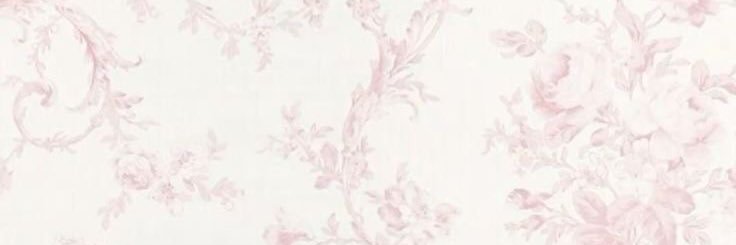 princessfefee's profile banner image