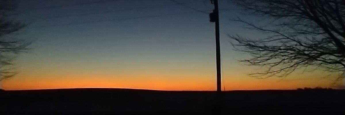 Megan 🌺 banner