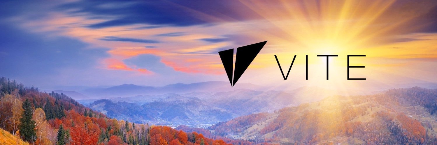 Vite Labs Japan ⛹🏻 banner