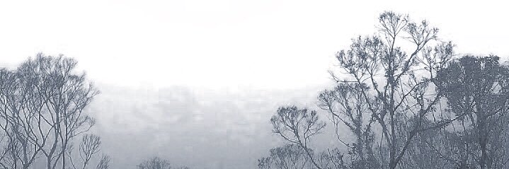 caleb's banner