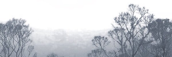 maybechaos Profile Banner