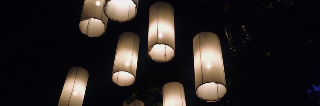 nitthanoinae's profile banner image