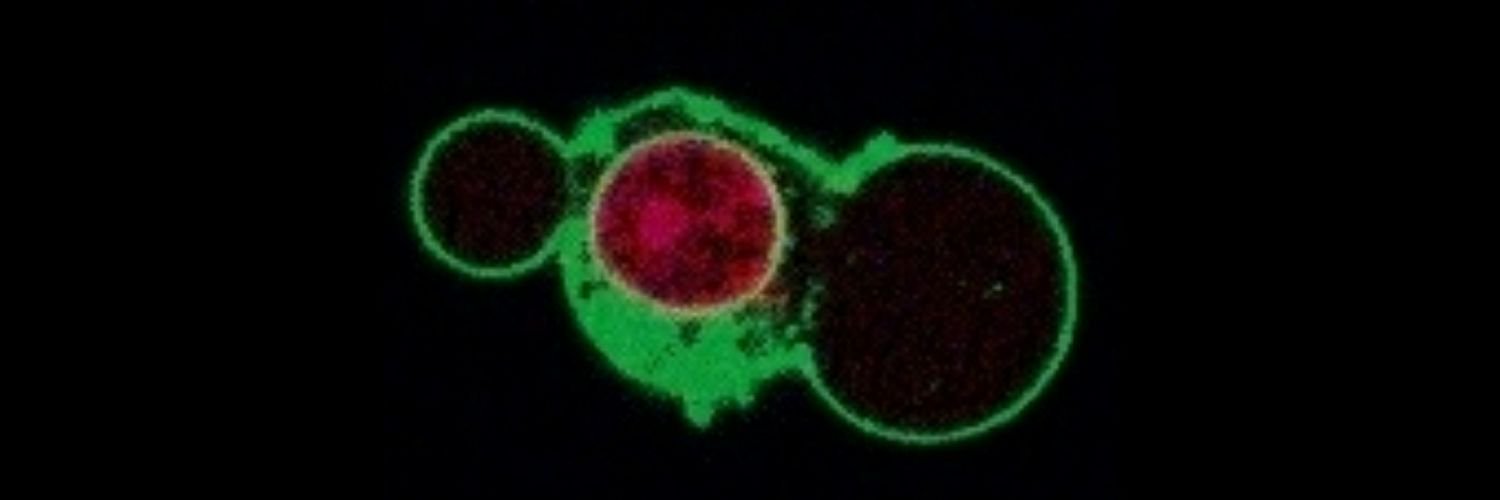 Hulett Lab's banner