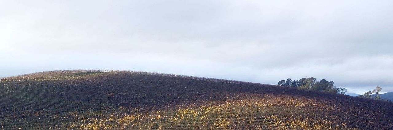 nizarhm_'s profile banner image