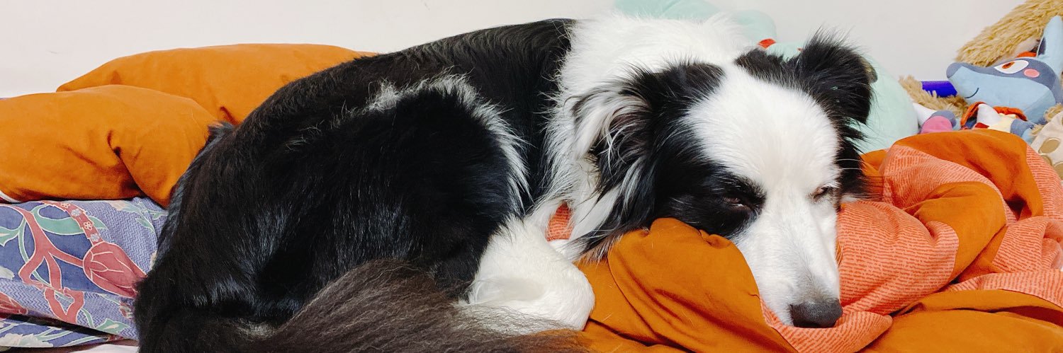 ゆい♡方方 FangFang banner