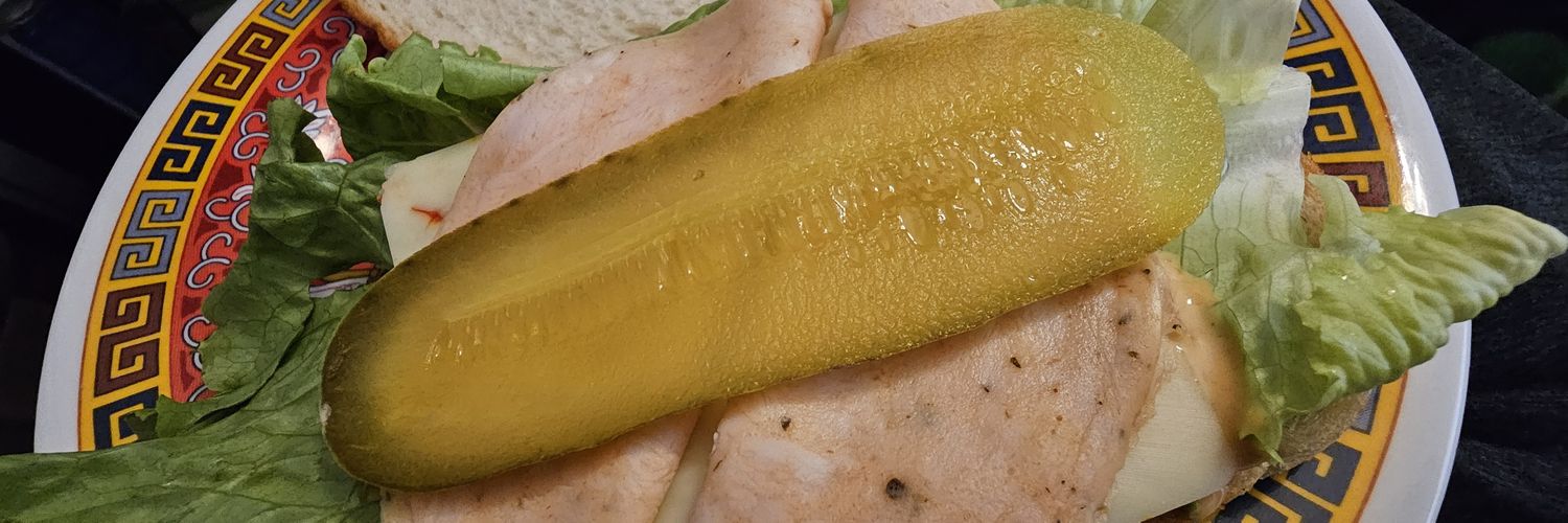 sterzoib's profile banner image