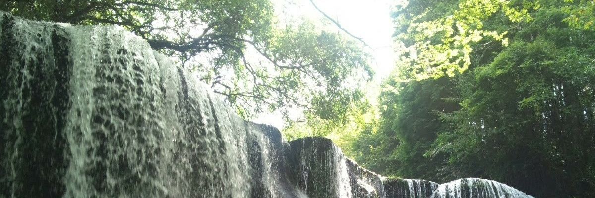 utapooh0621's profile banner image