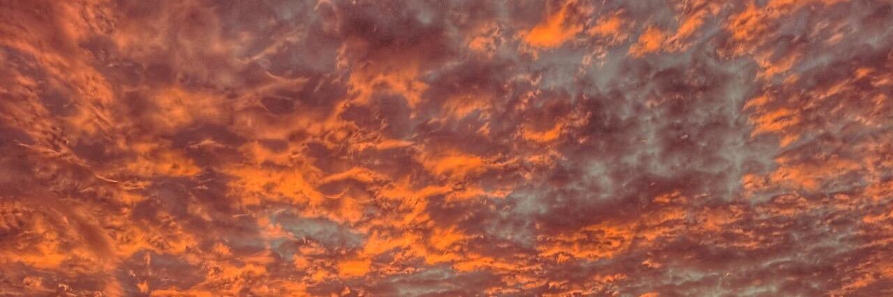 💟 banner