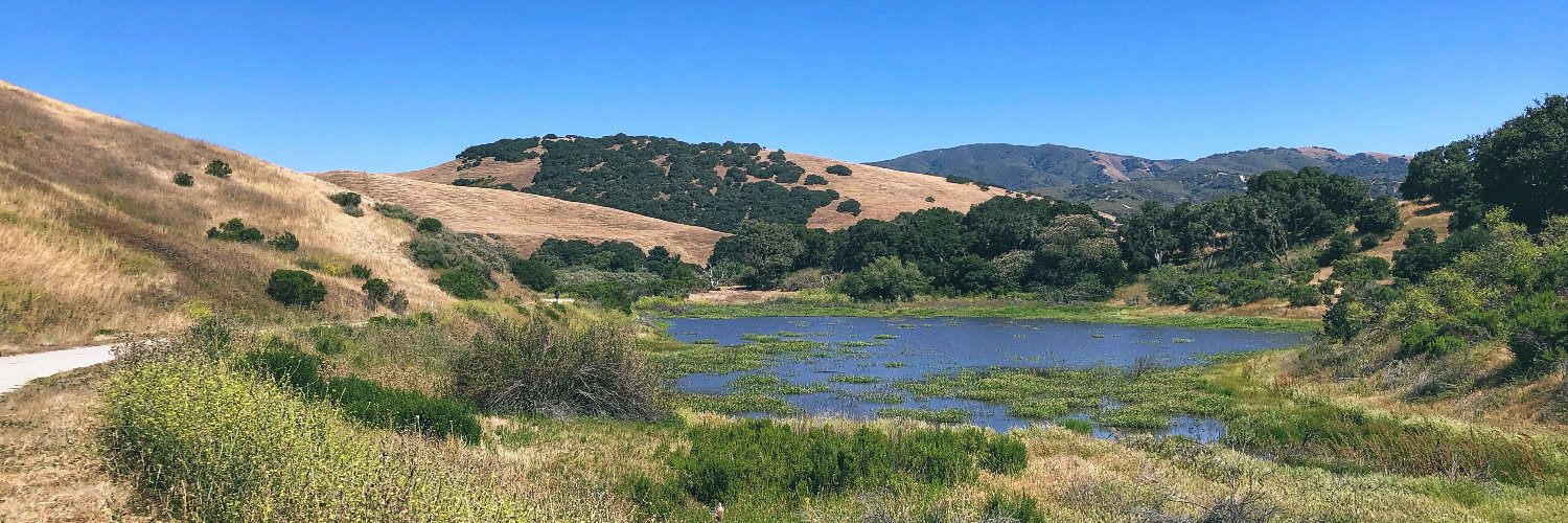 Dr. Meridith Bartley banner