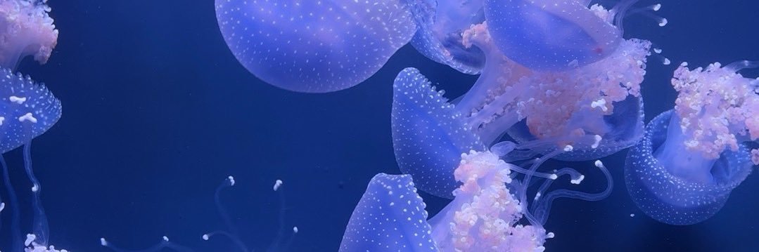 sam_nicol301's profile banner image