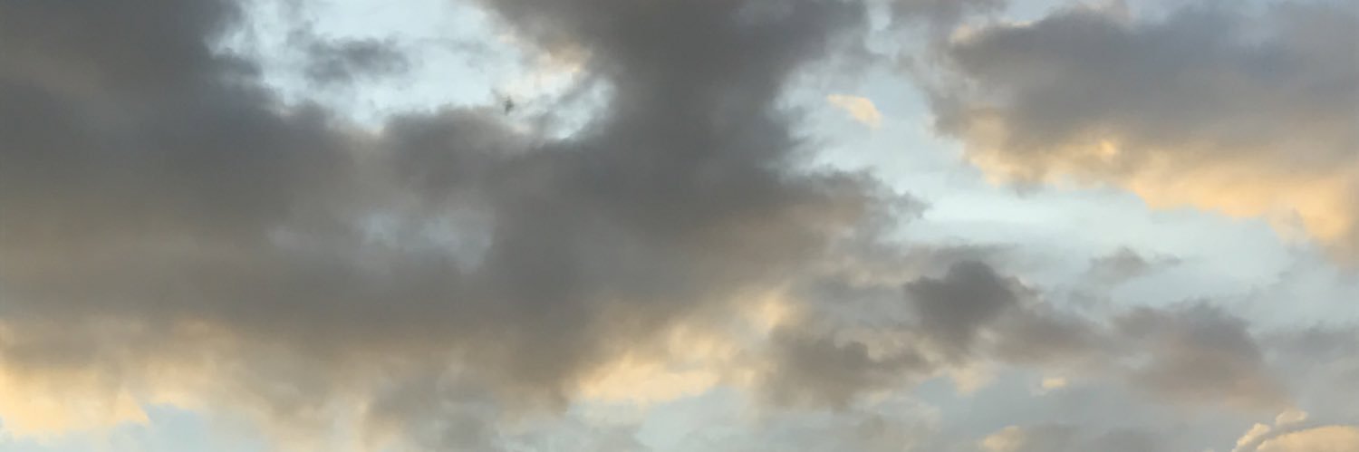 smileyysilver's profile banner image