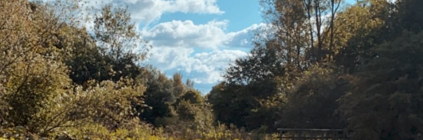 Abby_Streeter's profile banner image