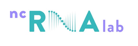 ncRNA-Lab banner