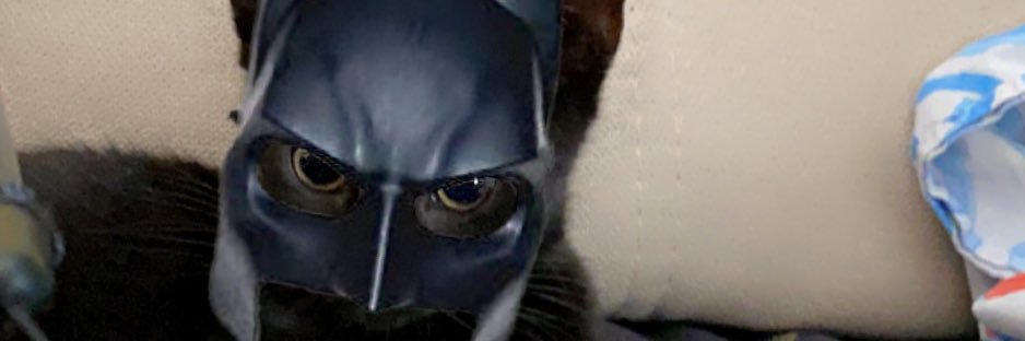 pickaraj's profile banner image