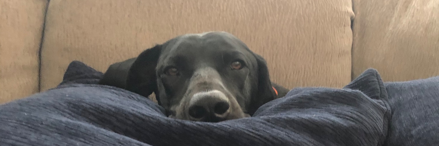 BigSam_79's profile banner image