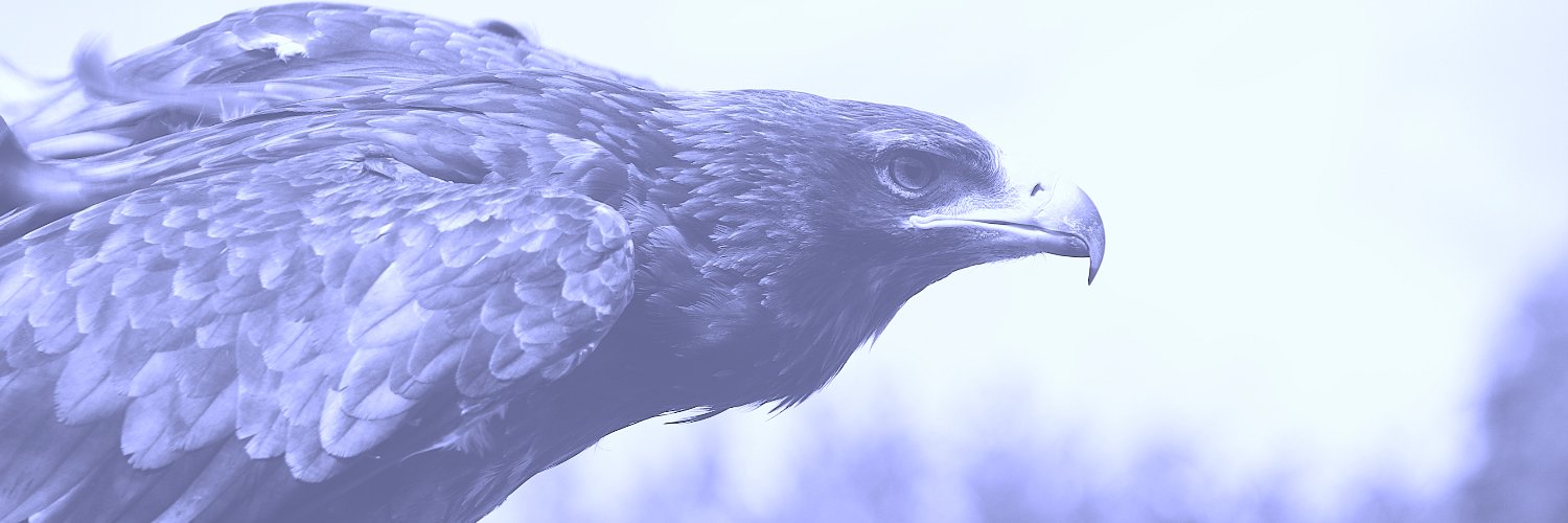 ThomasWalke's profile banner image