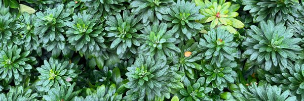 ProfKateJudge Profile Banner