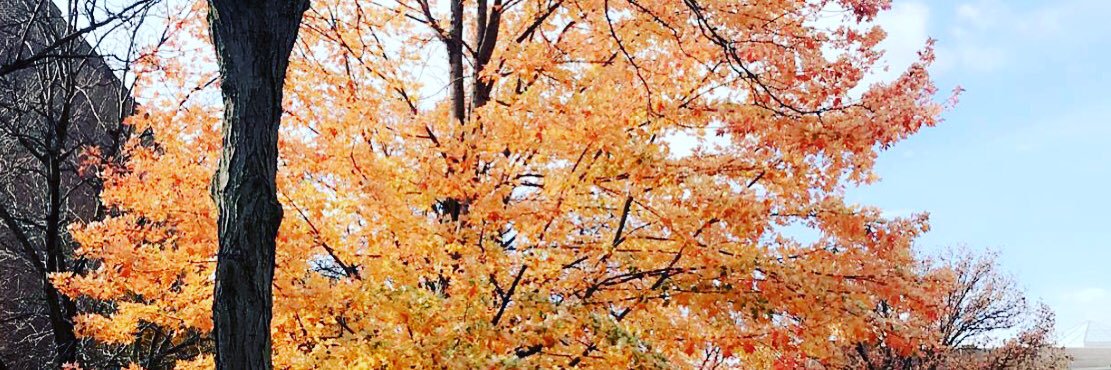 be hopeful💓🌸 banner