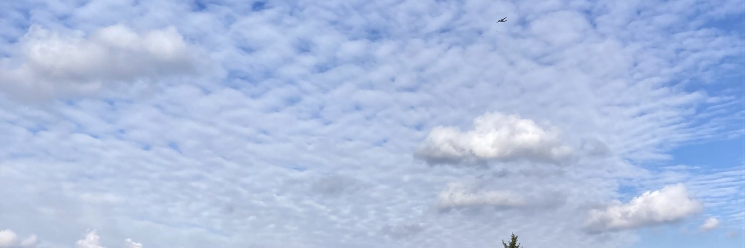 pan Pitza banner