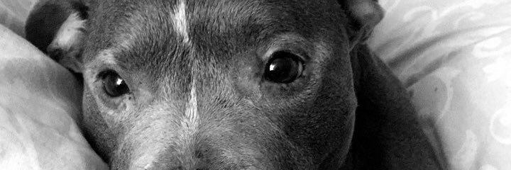 TaylorCollinson's profile banner image