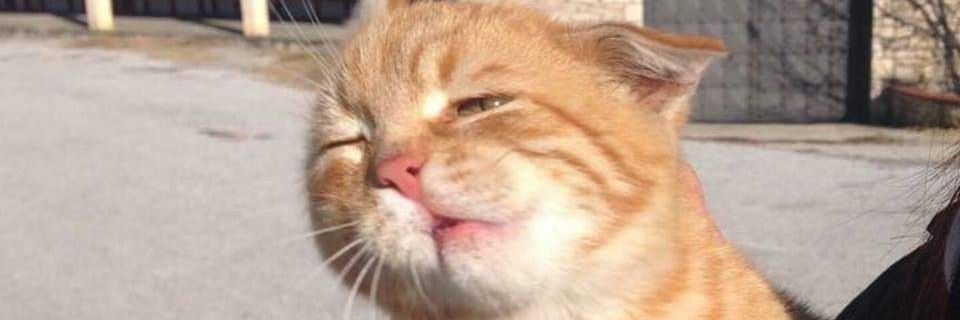 AndrewBellinger's profile banner image