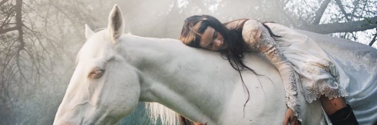 alinnevi_'s profile banner image