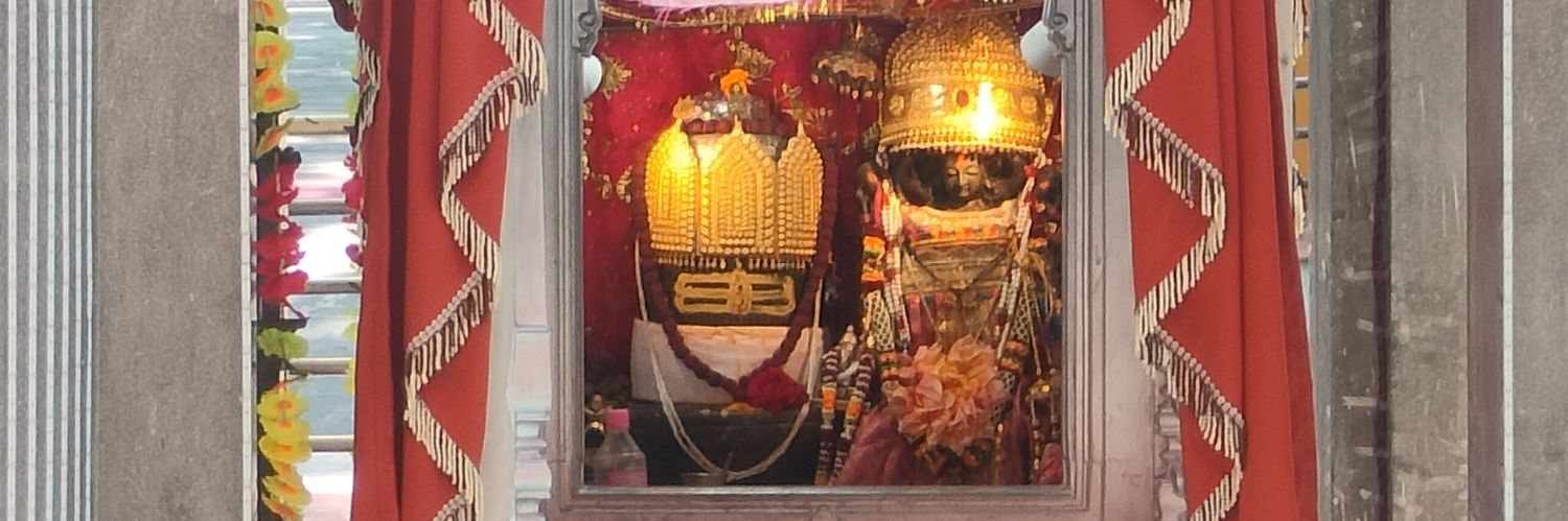 Dr. Zimomo Endonuclease banner