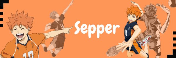 Sepper_vlr Profile Banner