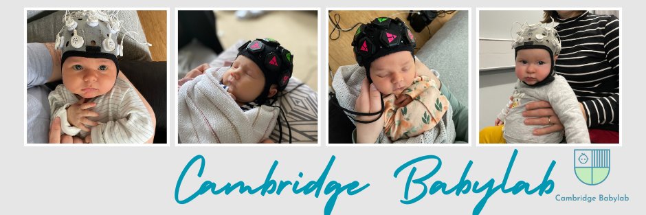 Cambridge Babylab's banner