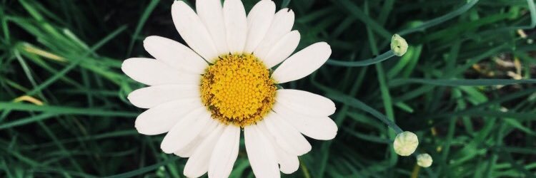 Addy_Riley19's profile banner image