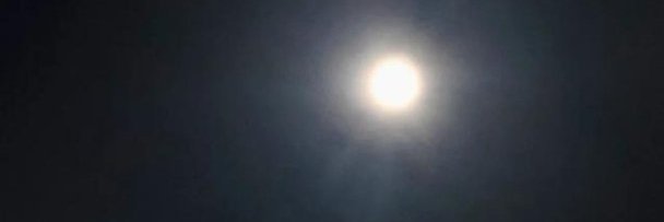 jose luis shephard banner