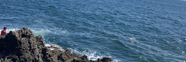 sklfc111 Profile Banner