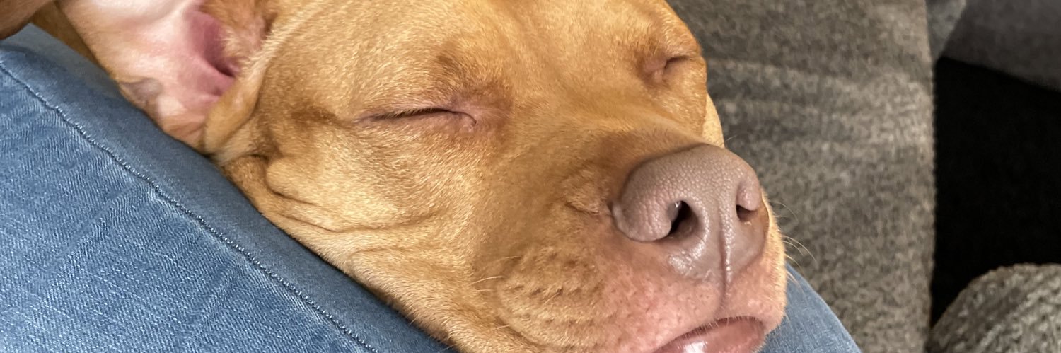 _olivia_hughess's profile banner image